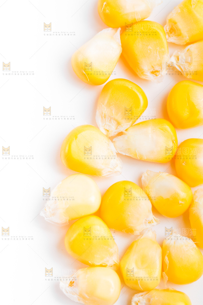 白底上的甜玉米