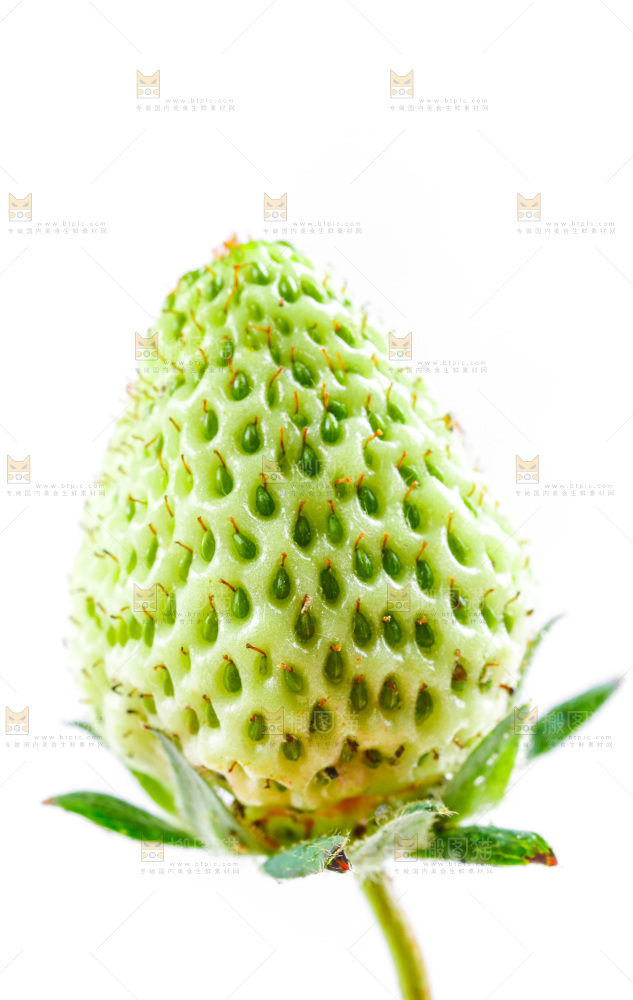 白底上的新鲜草莓