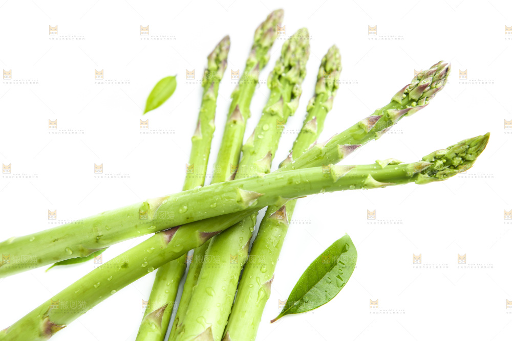 白底上的新鲜芦笋