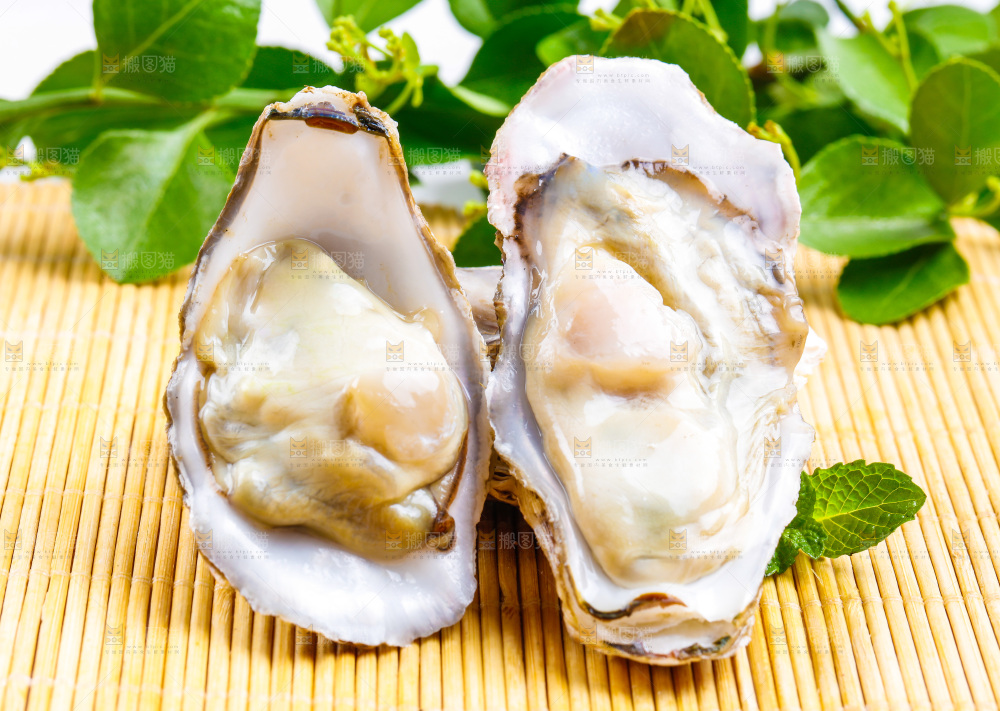 浅底上放着乳山生蚝