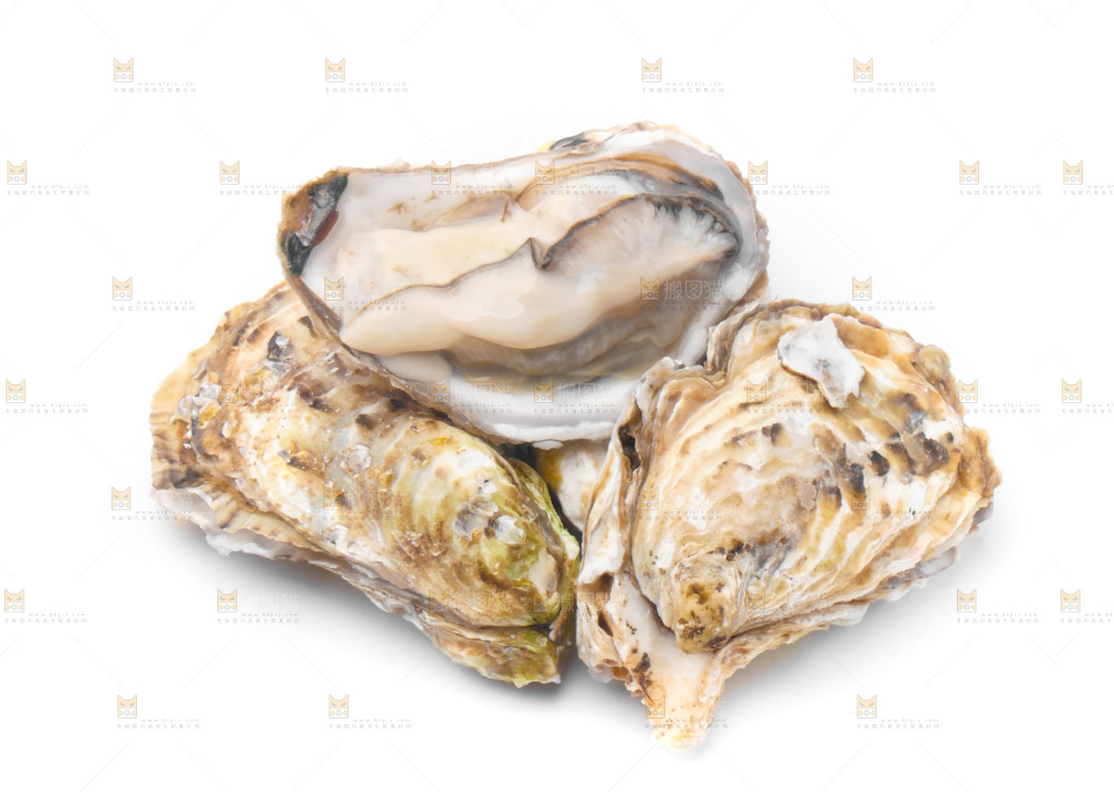 浅底上的生蚝