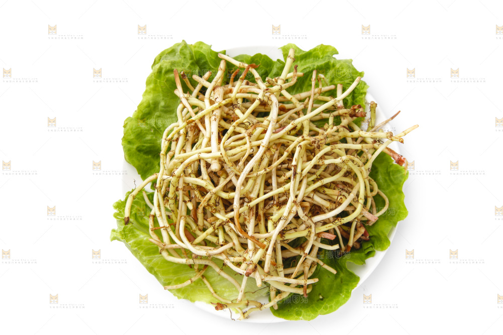 一盘凉拌鱼腥草放在白底上