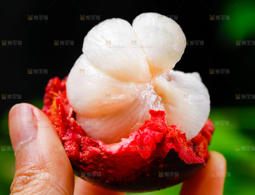 手拿山竹果肉