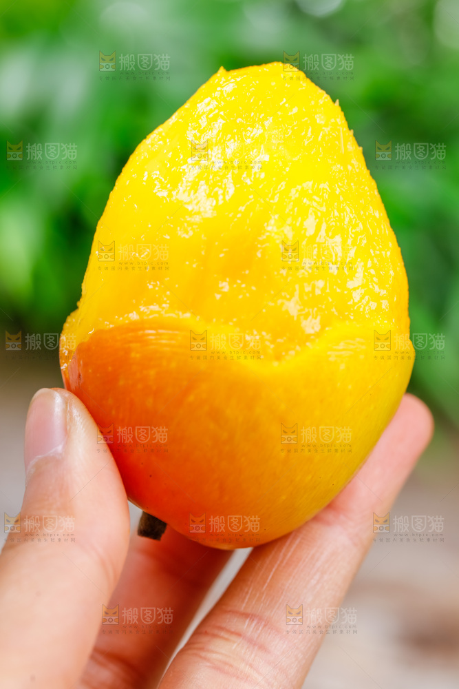 手拿新鲜彩芒