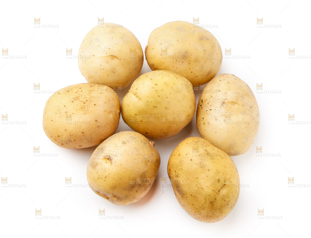 新鲜土豆放在白底上