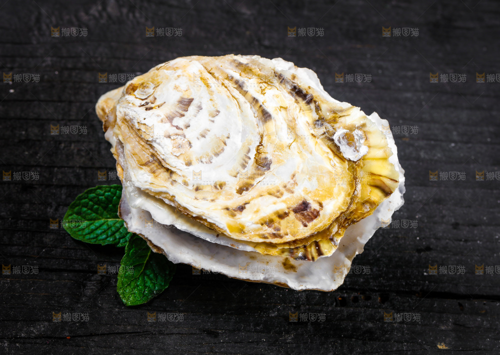 黑底上放着海蛎子