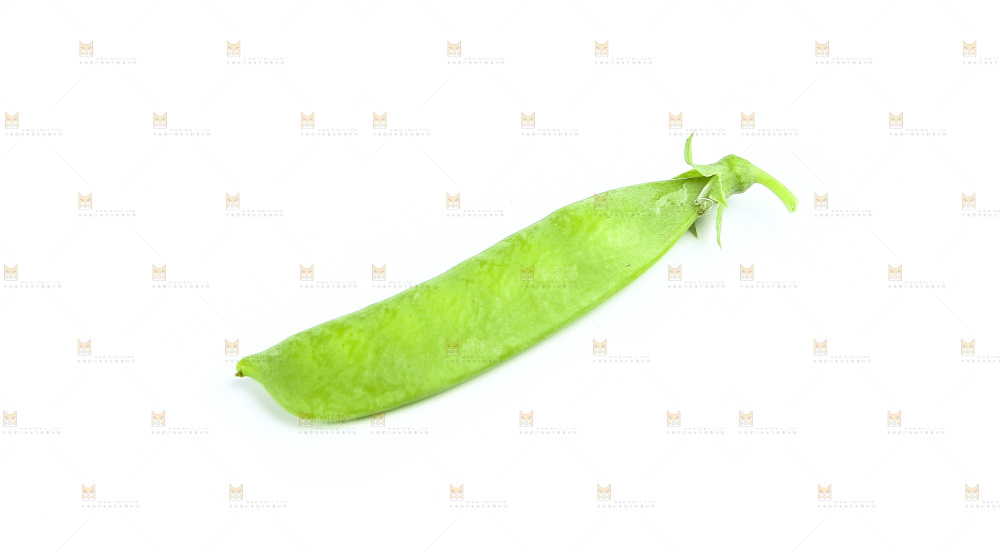 白底上的豌豆荚
