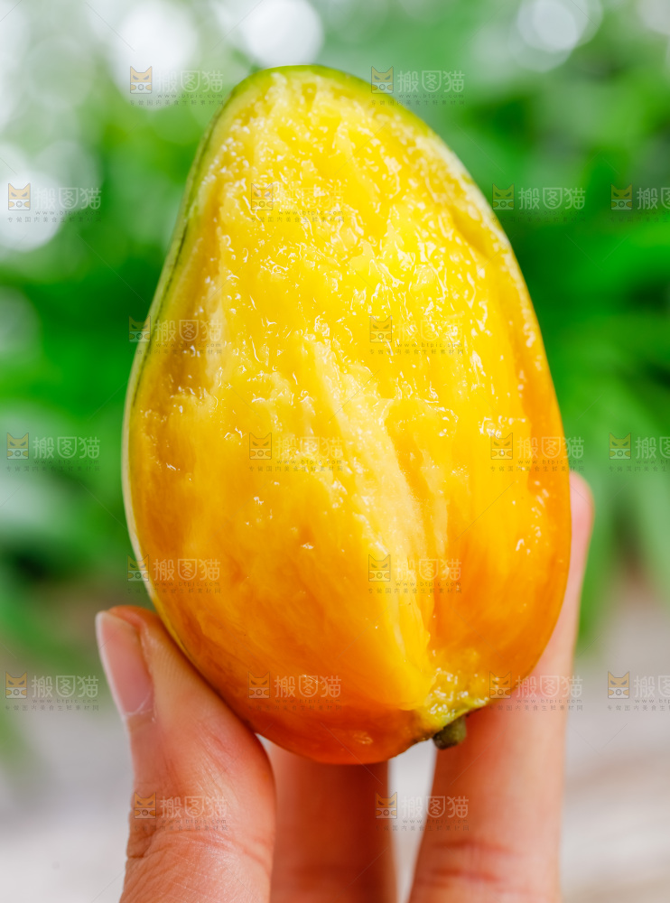 手拿新鲜彩芒