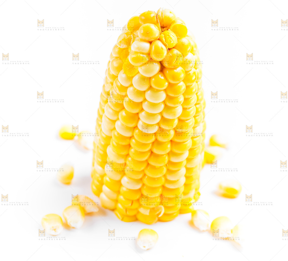 白底上的甜玉米