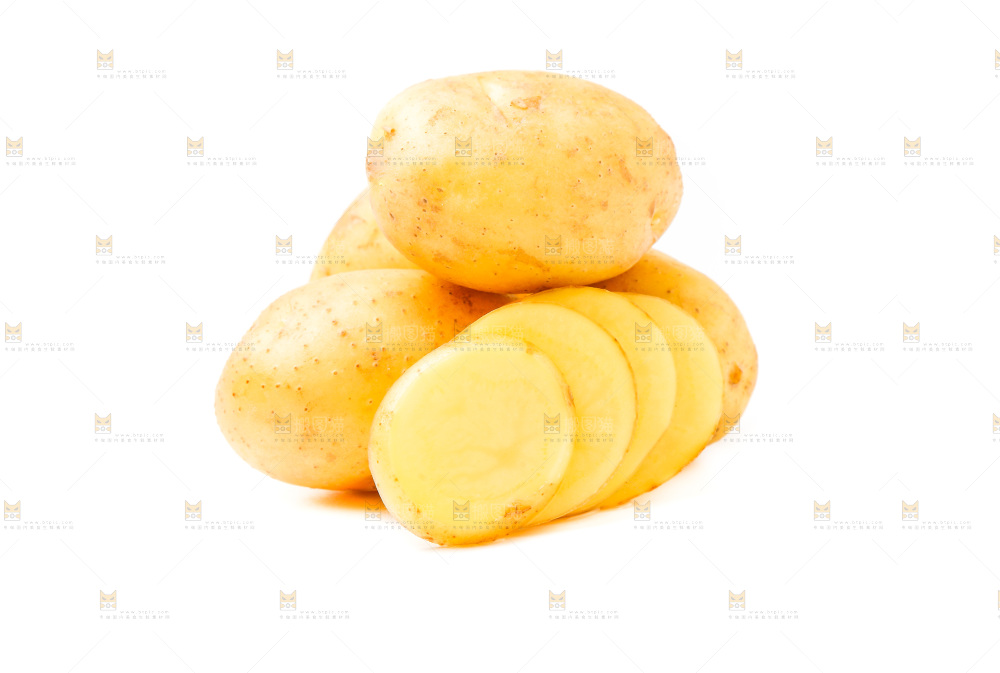 新鲜土豆放在白底上
