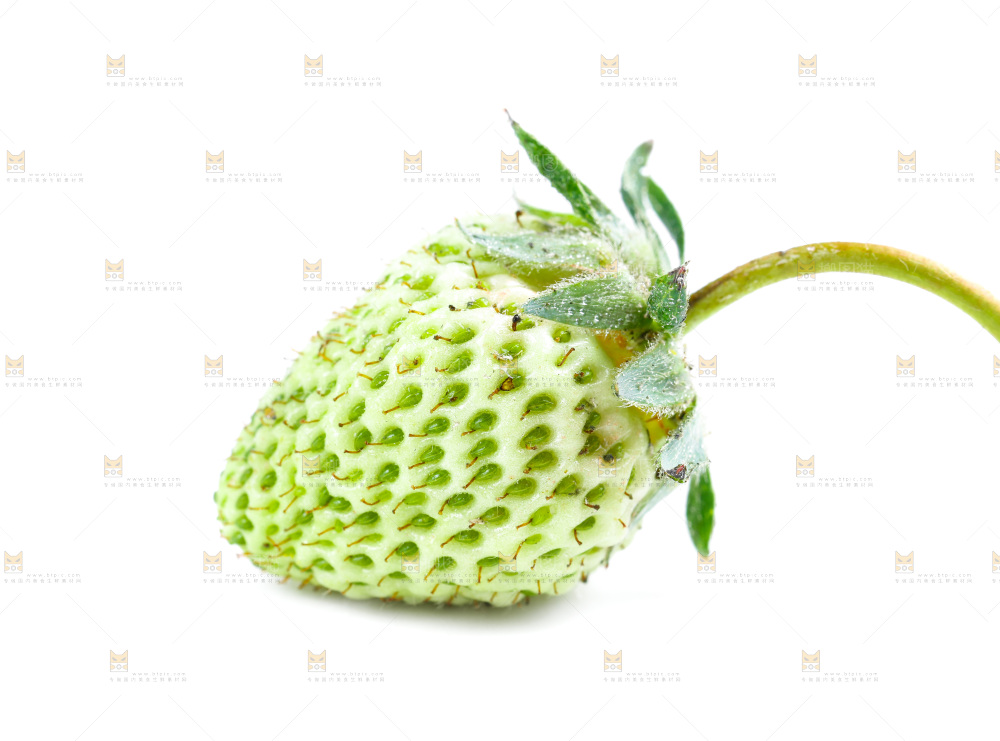 白底上的新鲜草莓