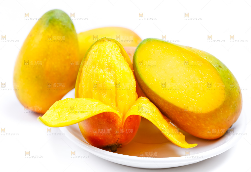 白底上放着海南贵妃芒