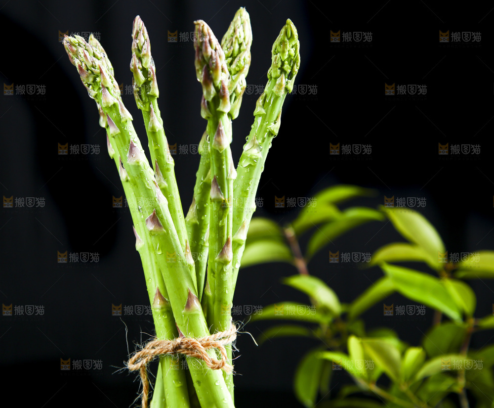 黑底上的青芦笋