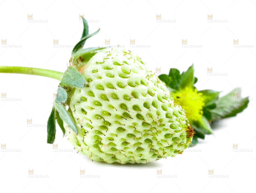 白底上的新鲜草莓