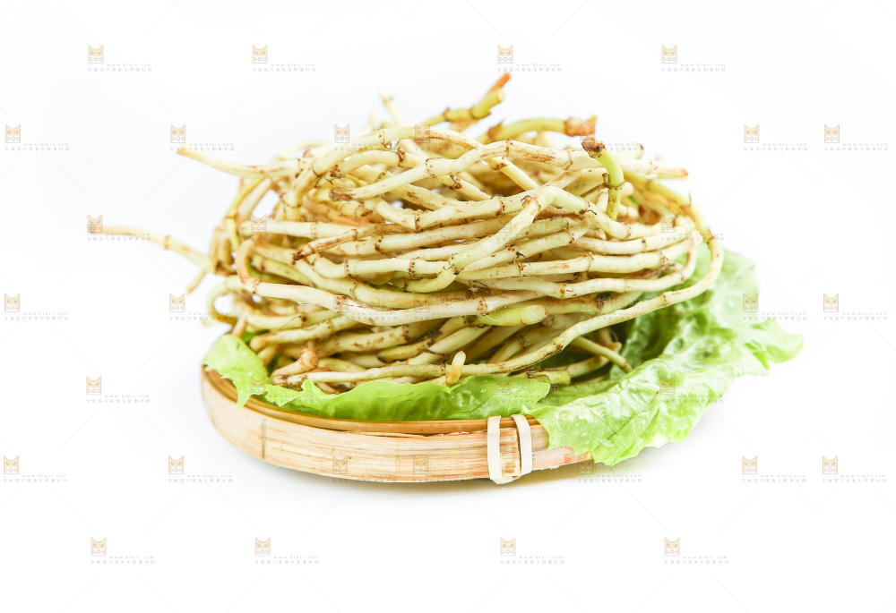 白底上的鱼腥草