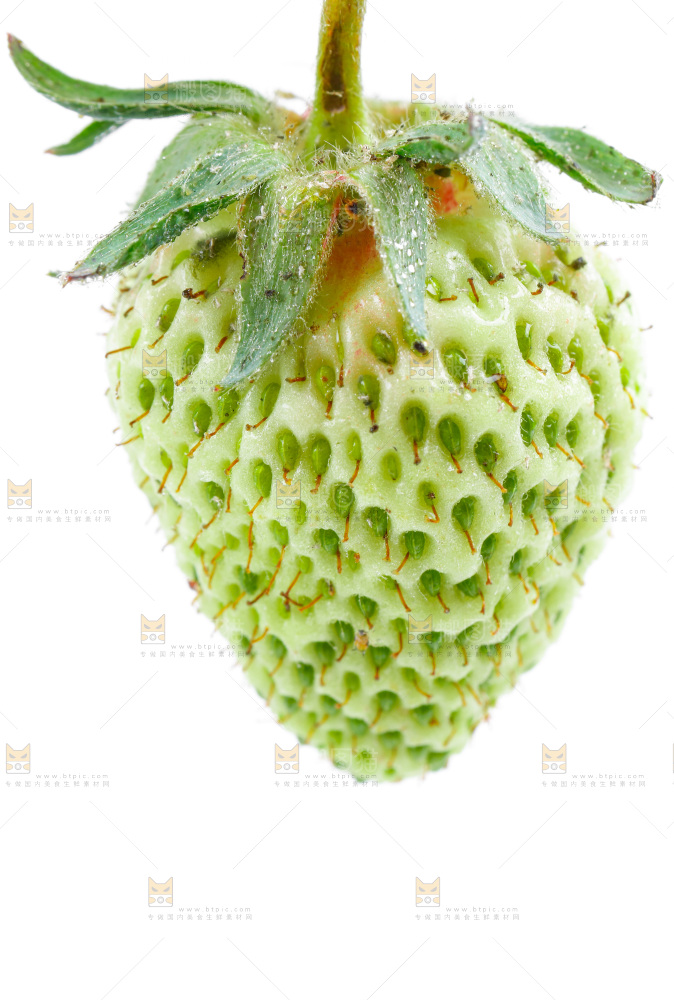 白底上的新鲜草莓