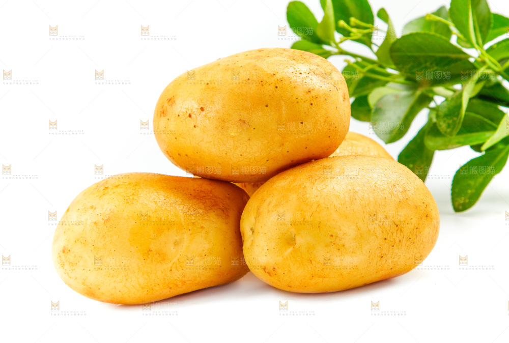 新鲜土豆放在白底上