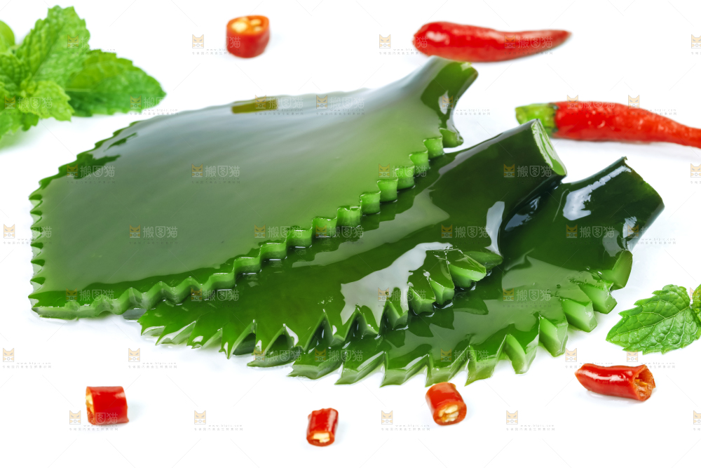 白底上摆放着海带根
