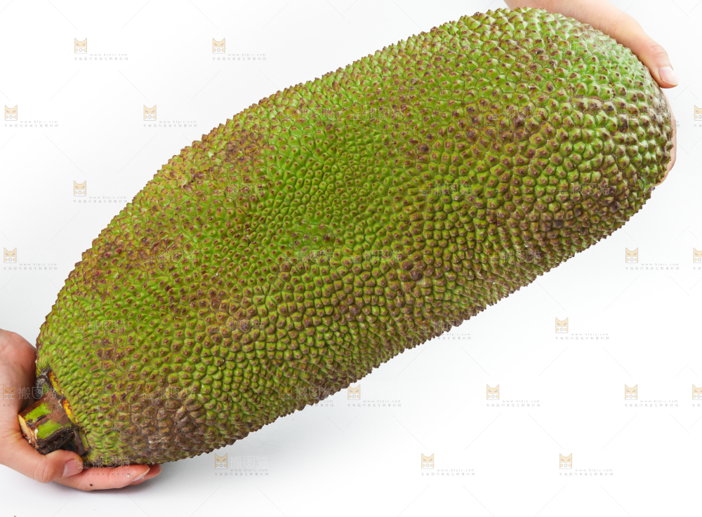 白底上放着海南菠萝蜜