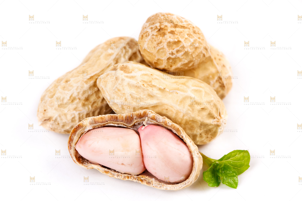 白底上的湿花生