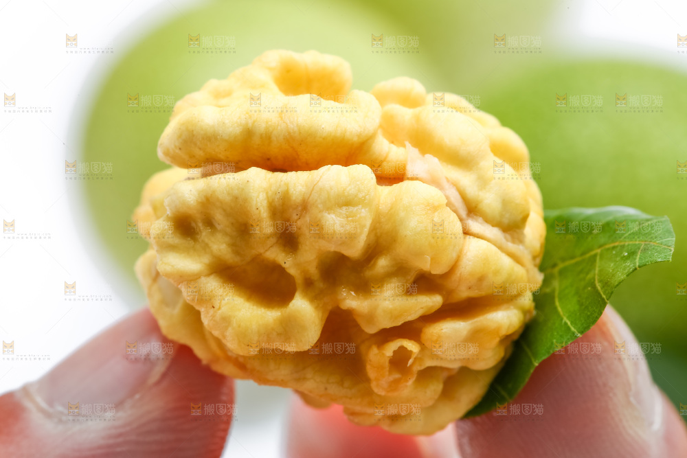 手里拿着生核桃仁