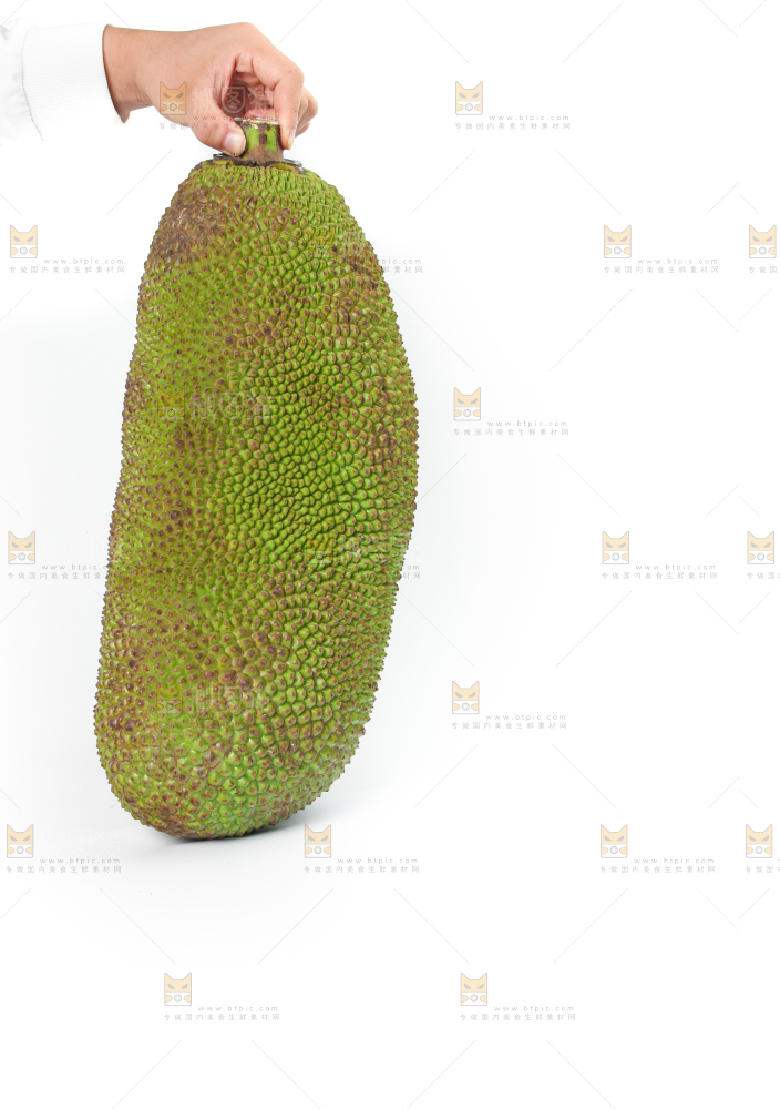 白底上放着一个完整的菠萝蜜