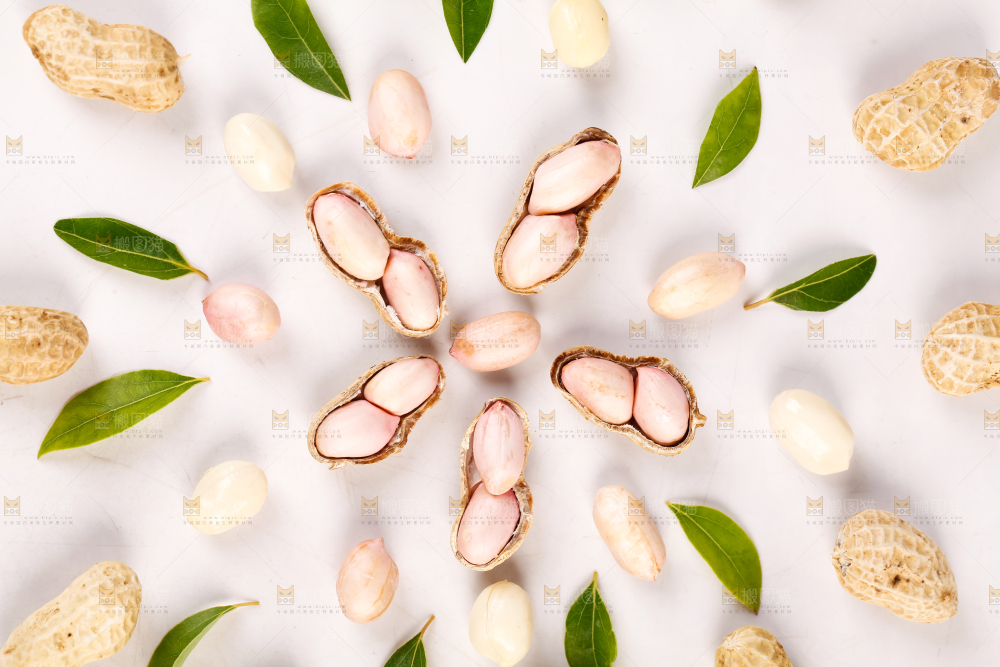 白底上的花生和花生米