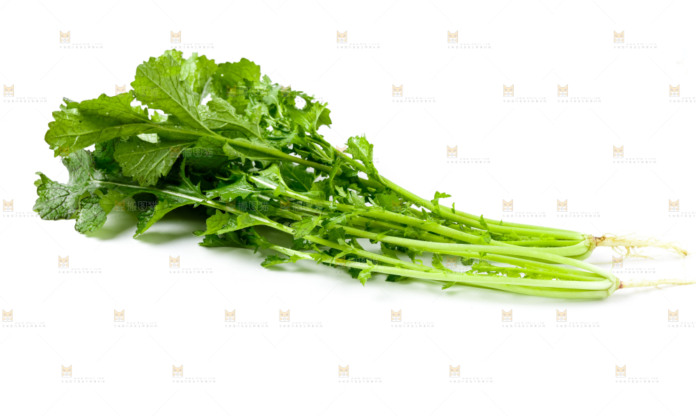 白底上的腊菜
