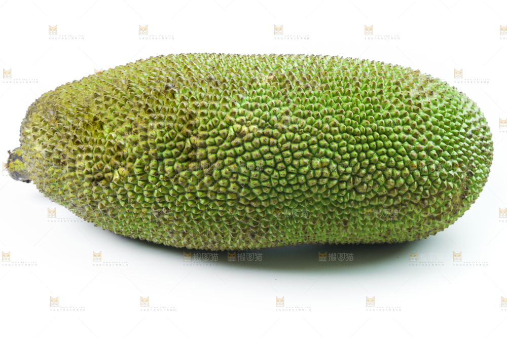 白底上放着一个完整的菠萝蜜