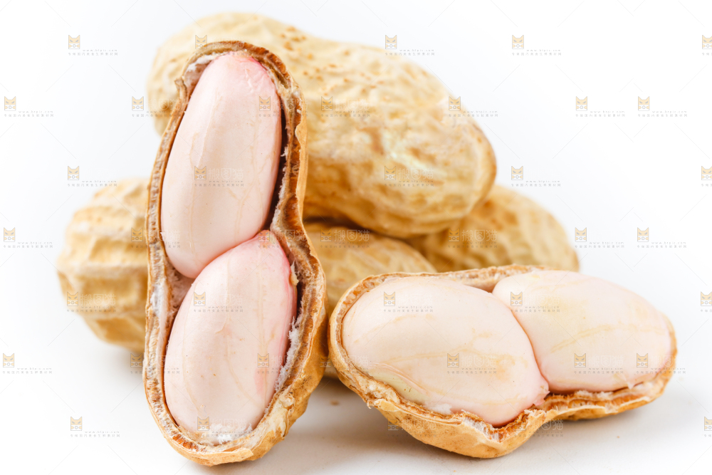 白底上的花生
