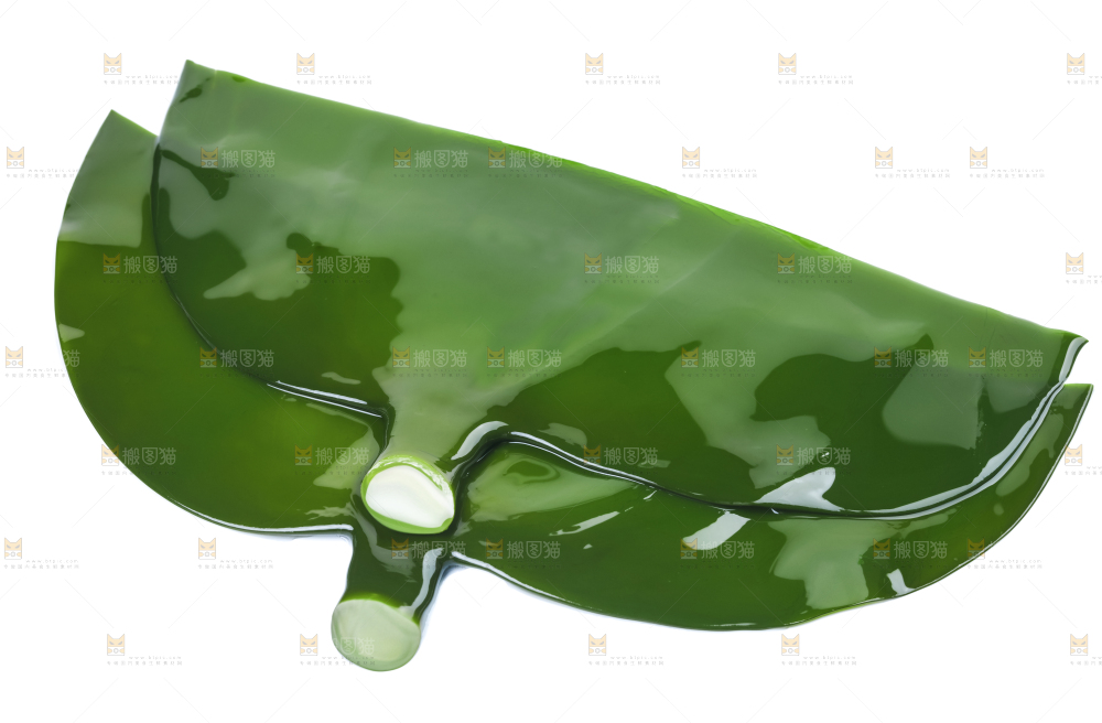 白底上摆放着海带头