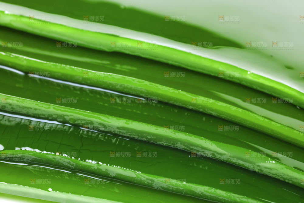 摆放着一堆的新鲜海带