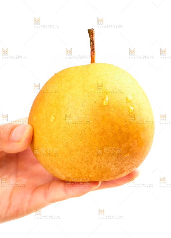 手里拿着丰水梨