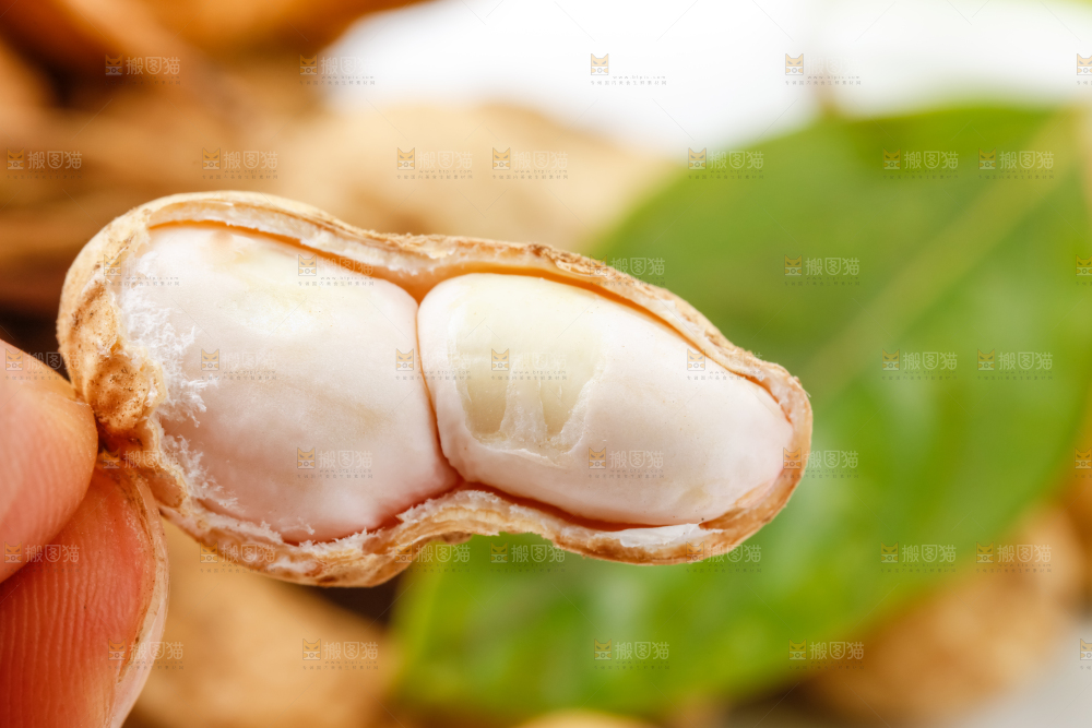 一颗剥开的花生
