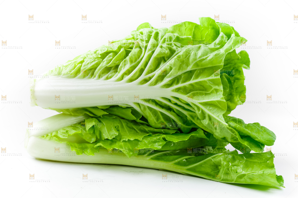 白底上的小白菜