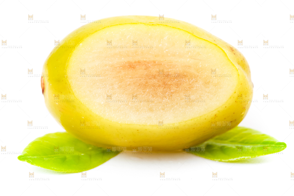 白底上的橄榄果