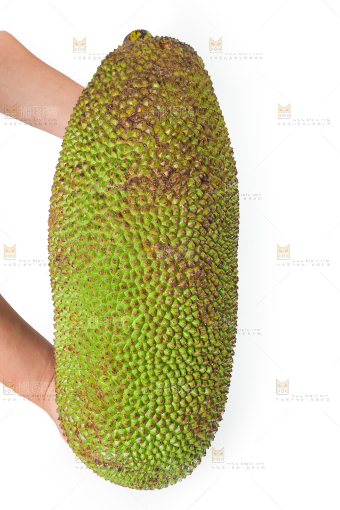 白底上放着一个完整的菠萝蜜