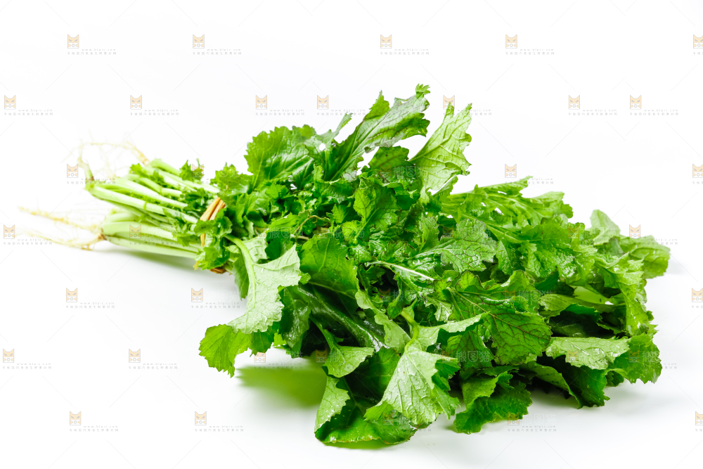 白底上的腊菜
