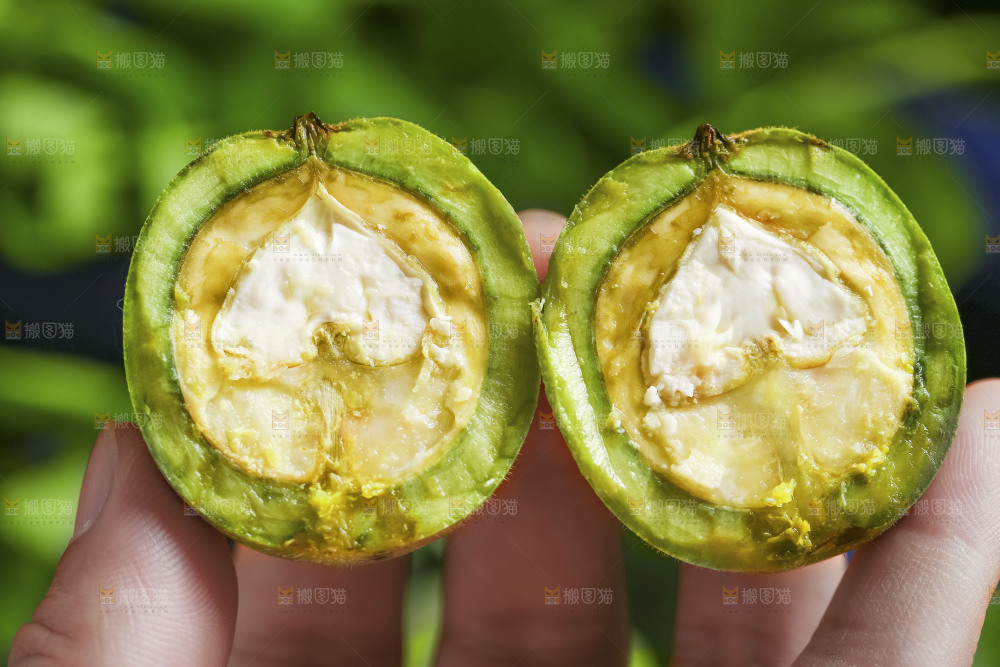 手里拿着青核桃