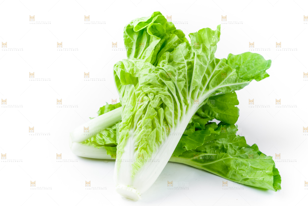 白底上的小白菜