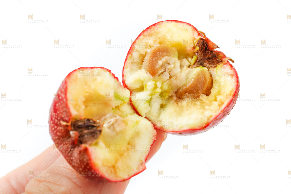 白底上的新鲜山楂