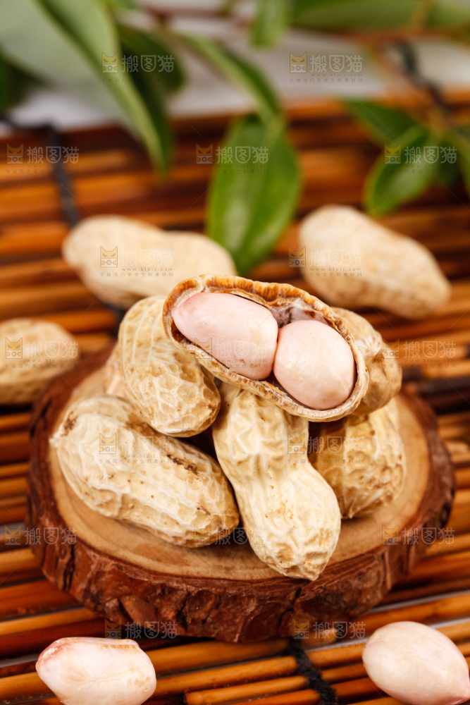 深底上的新鲜带壳花生
