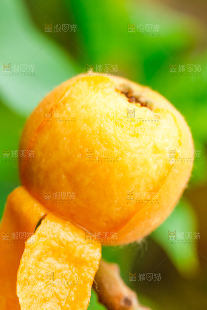 剥皮的枇杷果