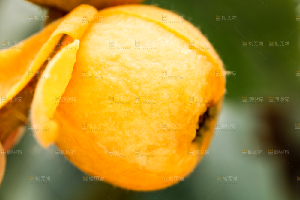 剥皮的枇杷果