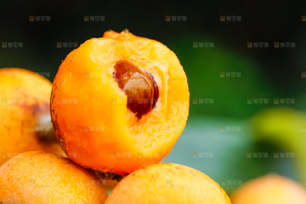 户外的枇杷果