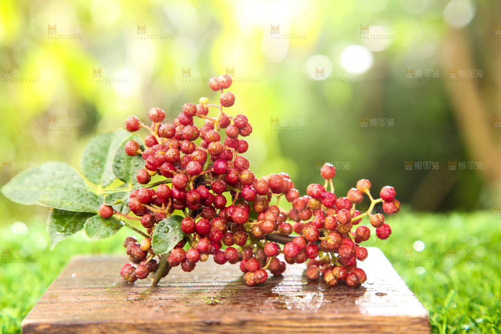 户外的红花椒