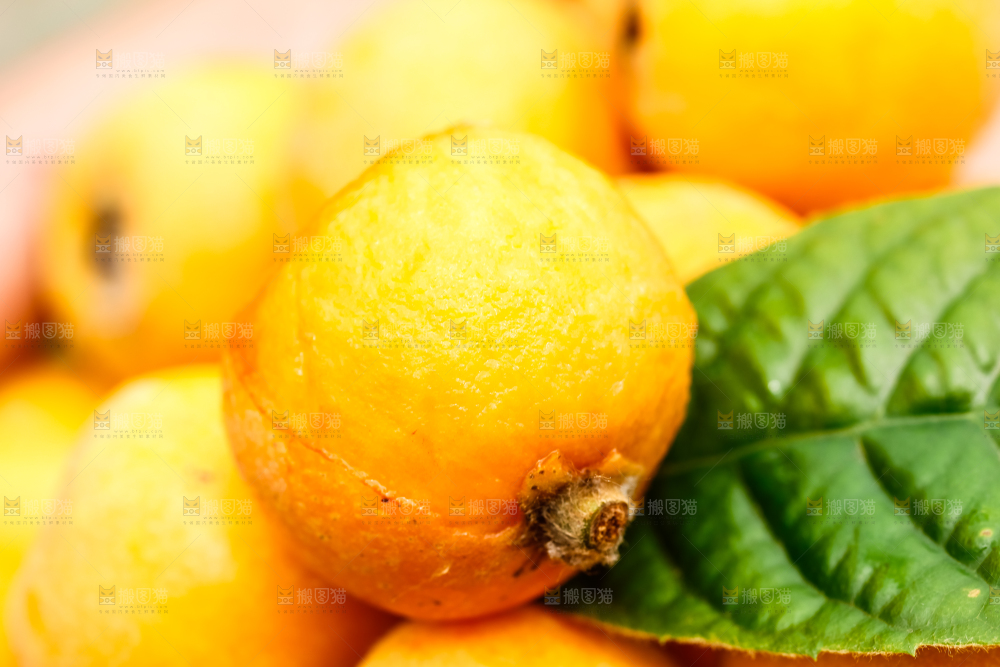 手里捧着新鲜枇杷