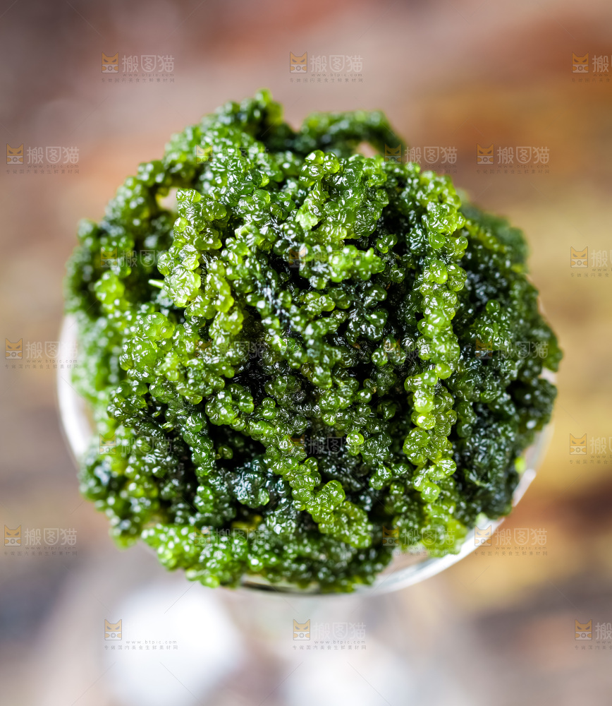 浅底上的海藻菜