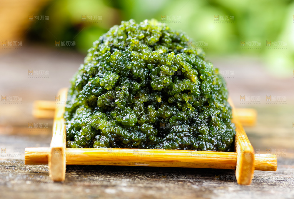 深底上放着一盘海藻菜