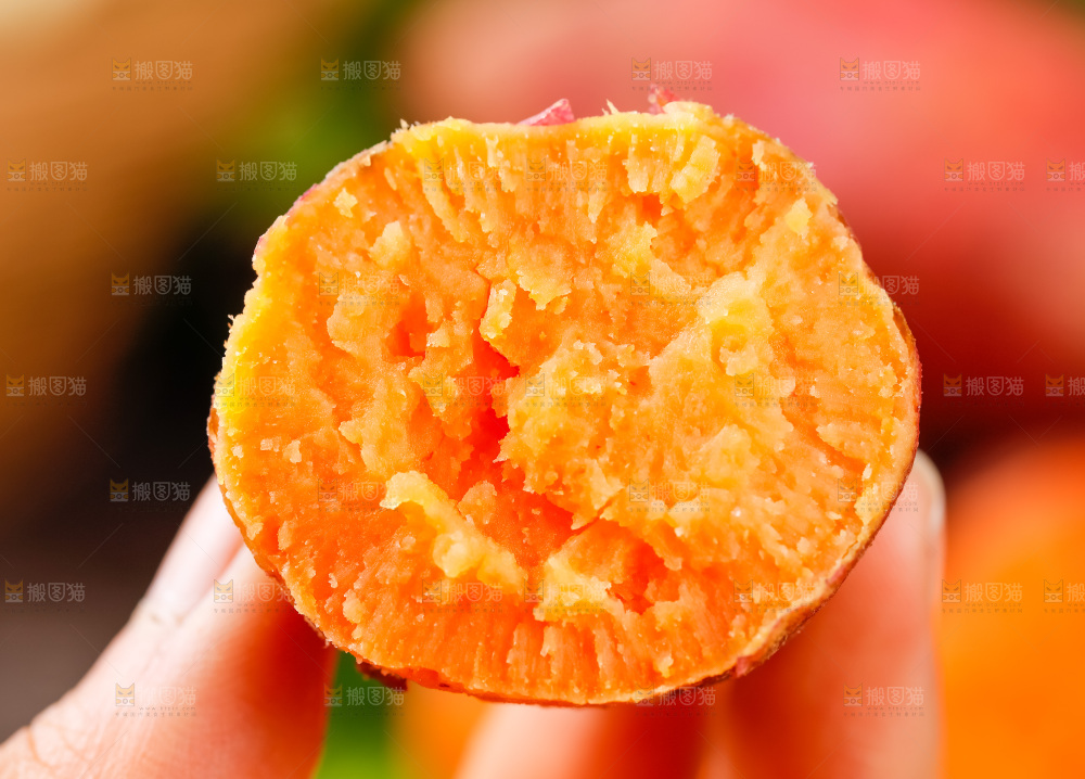 西瓜红蜜薯